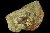Precious, Ethiopian Fire Opal ( g) #190214-1